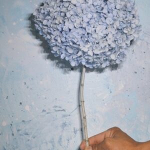 Hydrangea – Vintage Cloud
