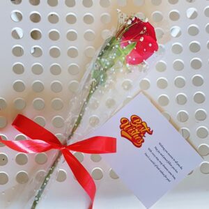 Single Red Rose