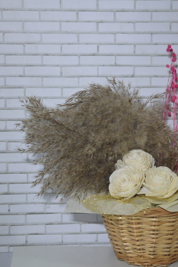 The Serene Nest - Image 3
