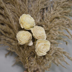 Dusty Bloom
