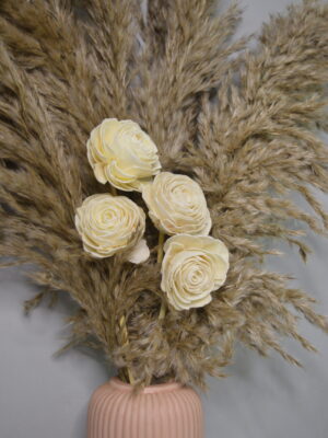 Dusty Bloom