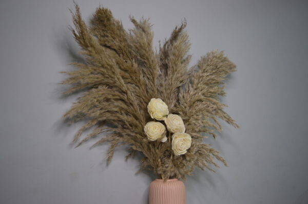 Dusty Bloom - Image 3