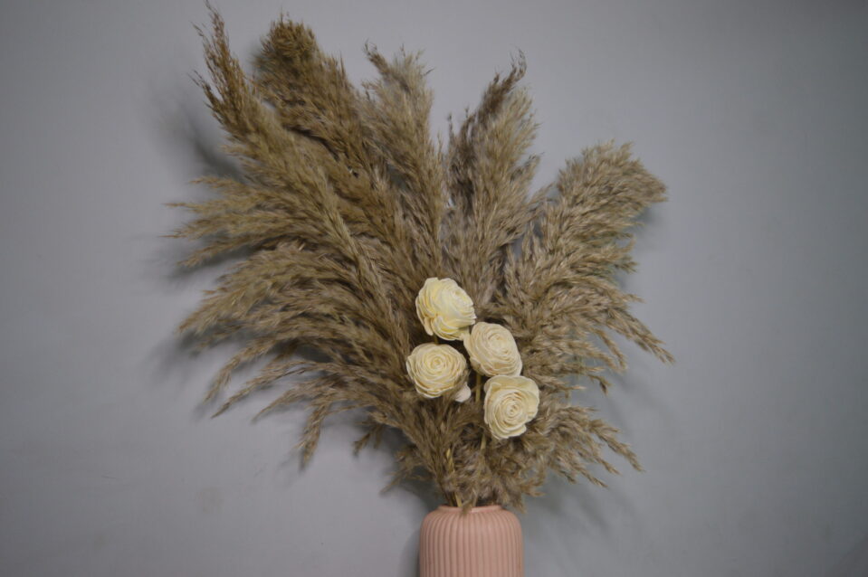 Dusty Bloom - Image 3