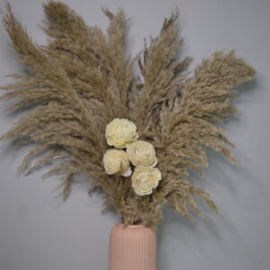 Dusty Bloom