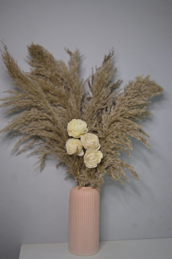 Dusty Bloom