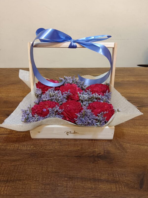 Sola Basket