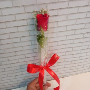 Single Red Rose