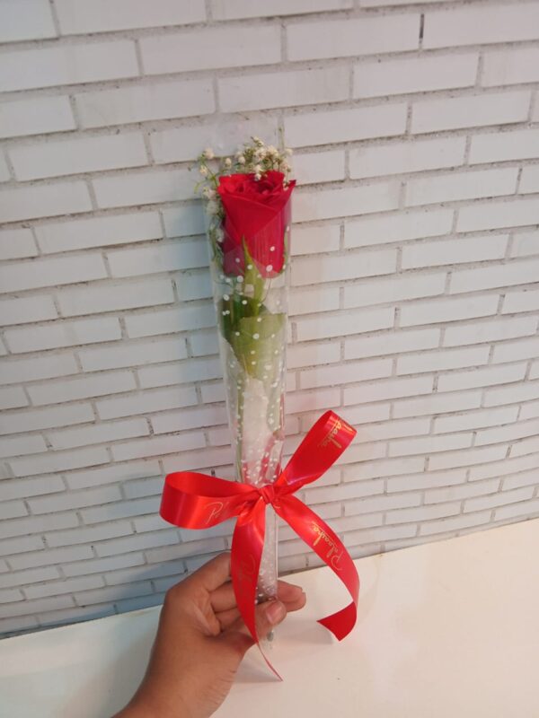 Single Red Rose