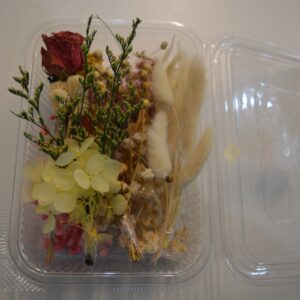 Assorted Dry Flower Box for artwork