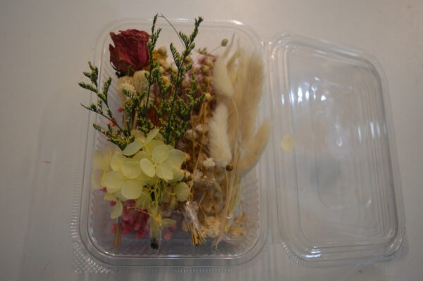 Assorted Dry Flower Box for artwork