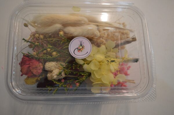 Assorted Dry Flower Box for artwork - Image 2