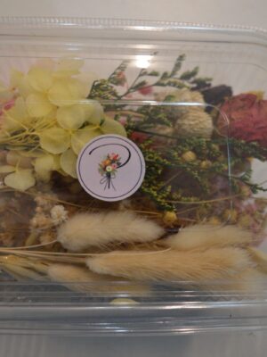 Assorted Dry Flower Box for artwork