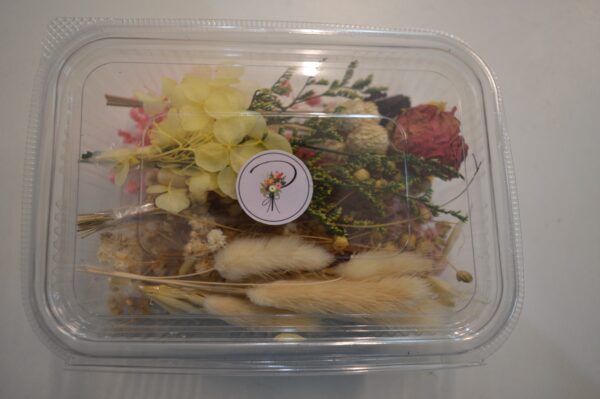 Assorted Dry Flower Box for artwork - Image 3