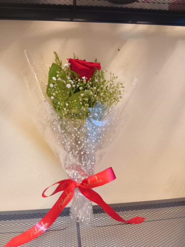 Single Red Rose Bouquet - Cellophane Wrapping