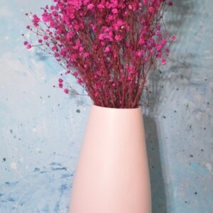 Baby’s Breath (Dried) – Pink Mist