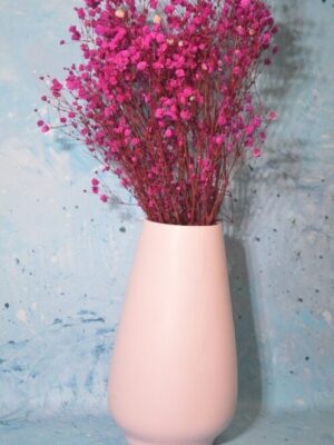 Baby’s Breath (Dried) – Pink Mist