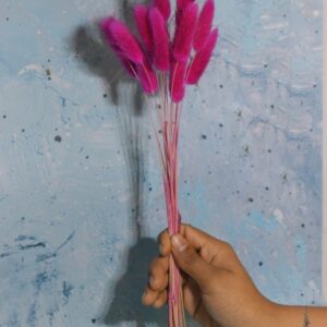 Bunny Tail – Whisper Fluff