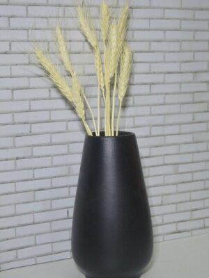 Wheat Grass – Golden Fields