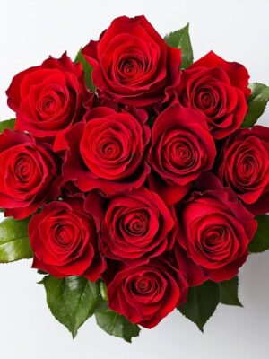 Classic Red Roses – 10 Stems