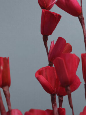 Sola Lily Sticks
