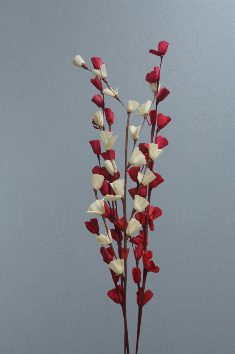 Sola Lily Sticks - Image 5