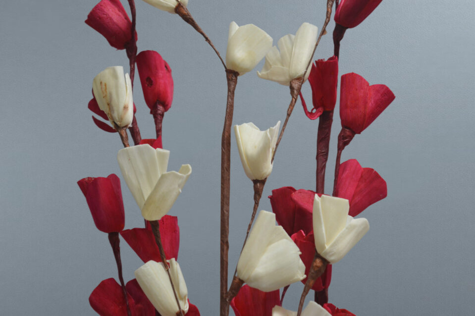 Sola Lily Sticks - Image 6