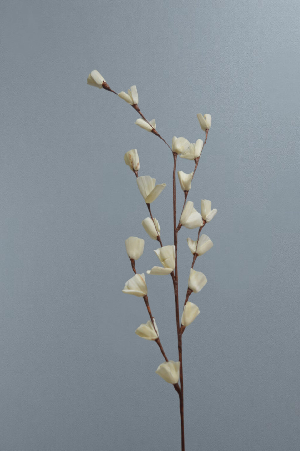 Sola Lily Sticks - Image 3