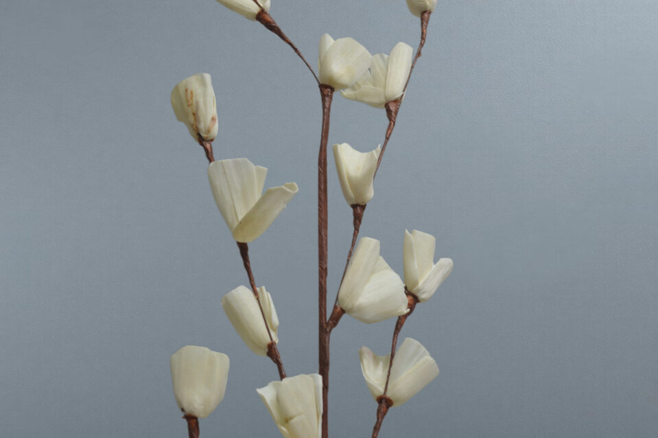 Sola Lily Sticks - Image 4