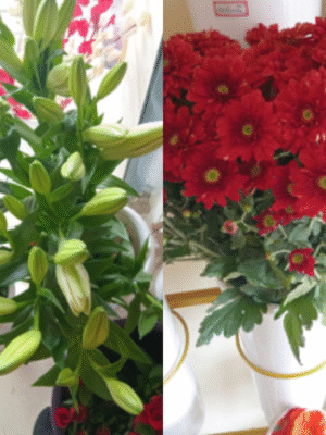 Assorted Lily & Chrysanthemum Mix