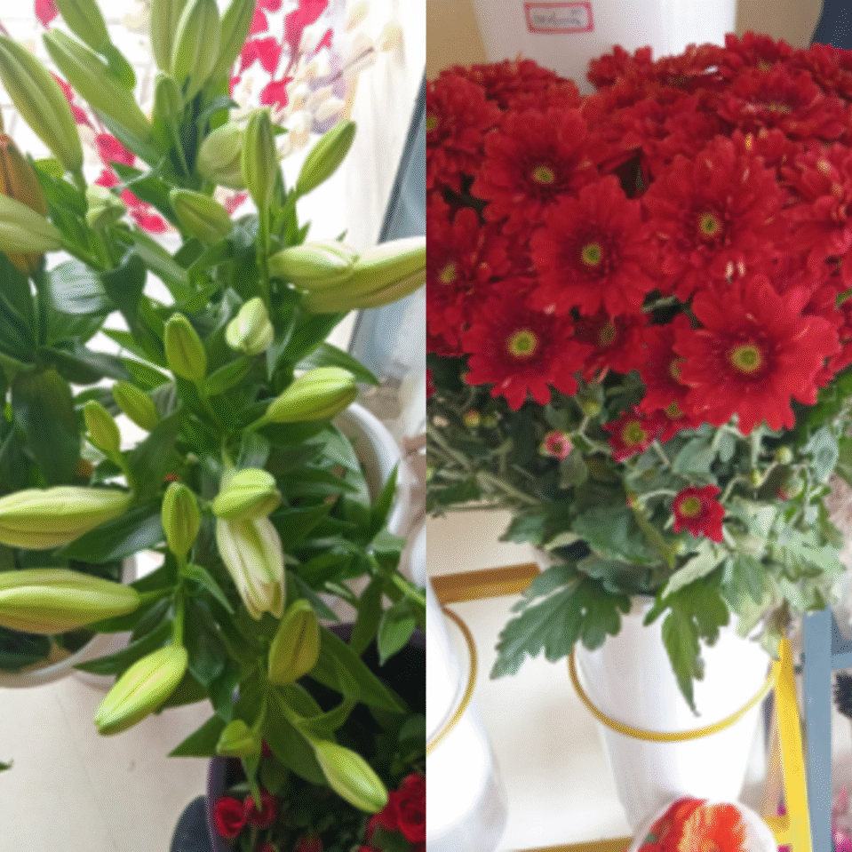 Assorted Lily & Chrysanthemum Mix